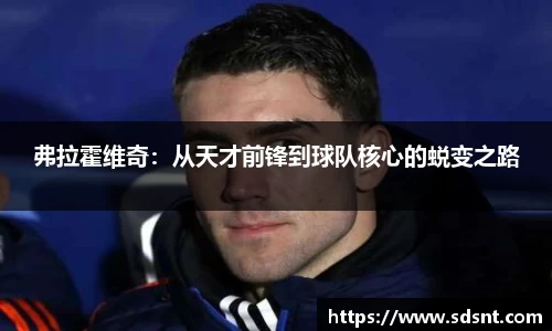 弗拉霍维奇：从天才前锋到球队核心的蜕变之路