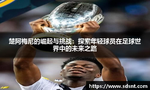米兰体育