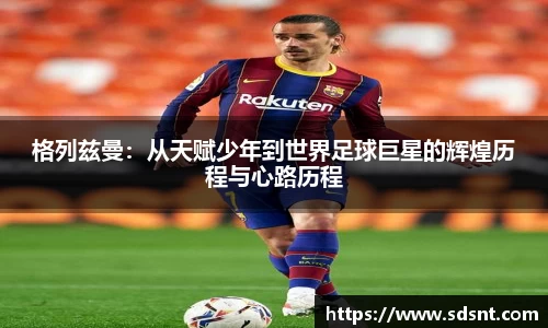 米兰体育官网