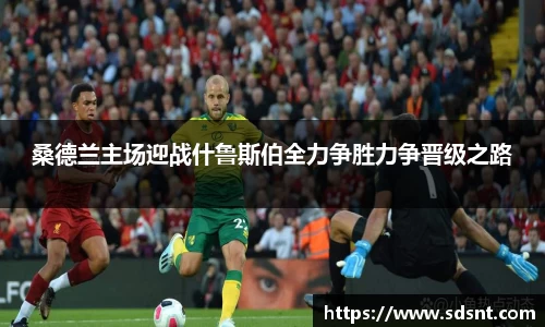 桑德兰主场迎战什鲁斯伯全力争胜力争晋级之路